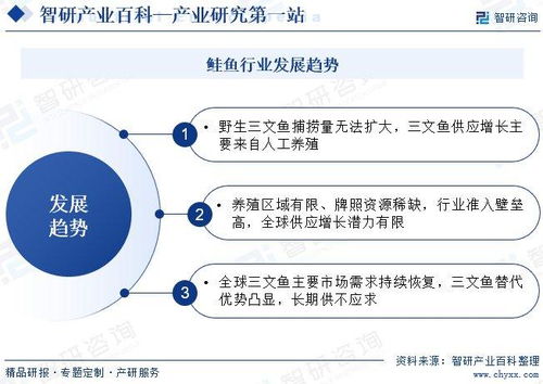 中國鮭魚行業發展現狀、產業全景概覽及投資方向分析