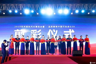 聚焦發(fā)展 2018中國(guó)杭州國(guó)際汽車博覽會(huì)盛況回顧——承接務(wù)實(shí)拓新各類經(jīng)濟(jì)技術(shù)策源地